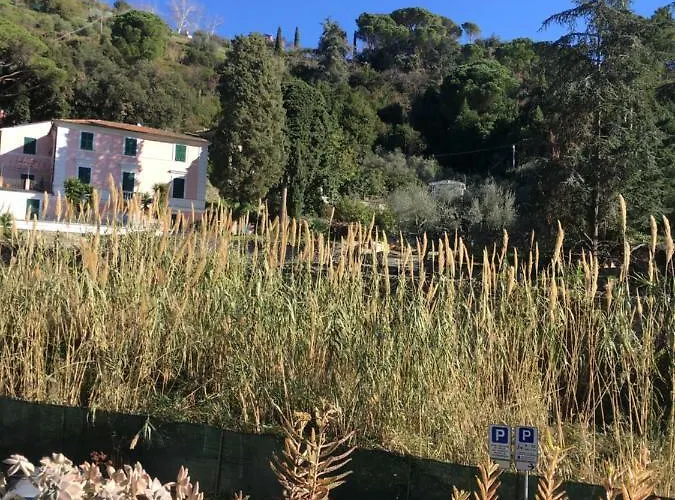 Cinqueterreblu Azzurromare Monterosso al Mare